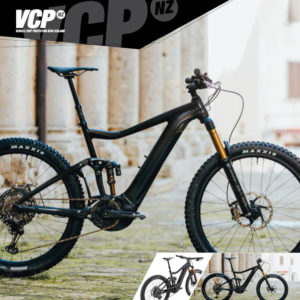 Giant Trance E+ Pro 2019-2021